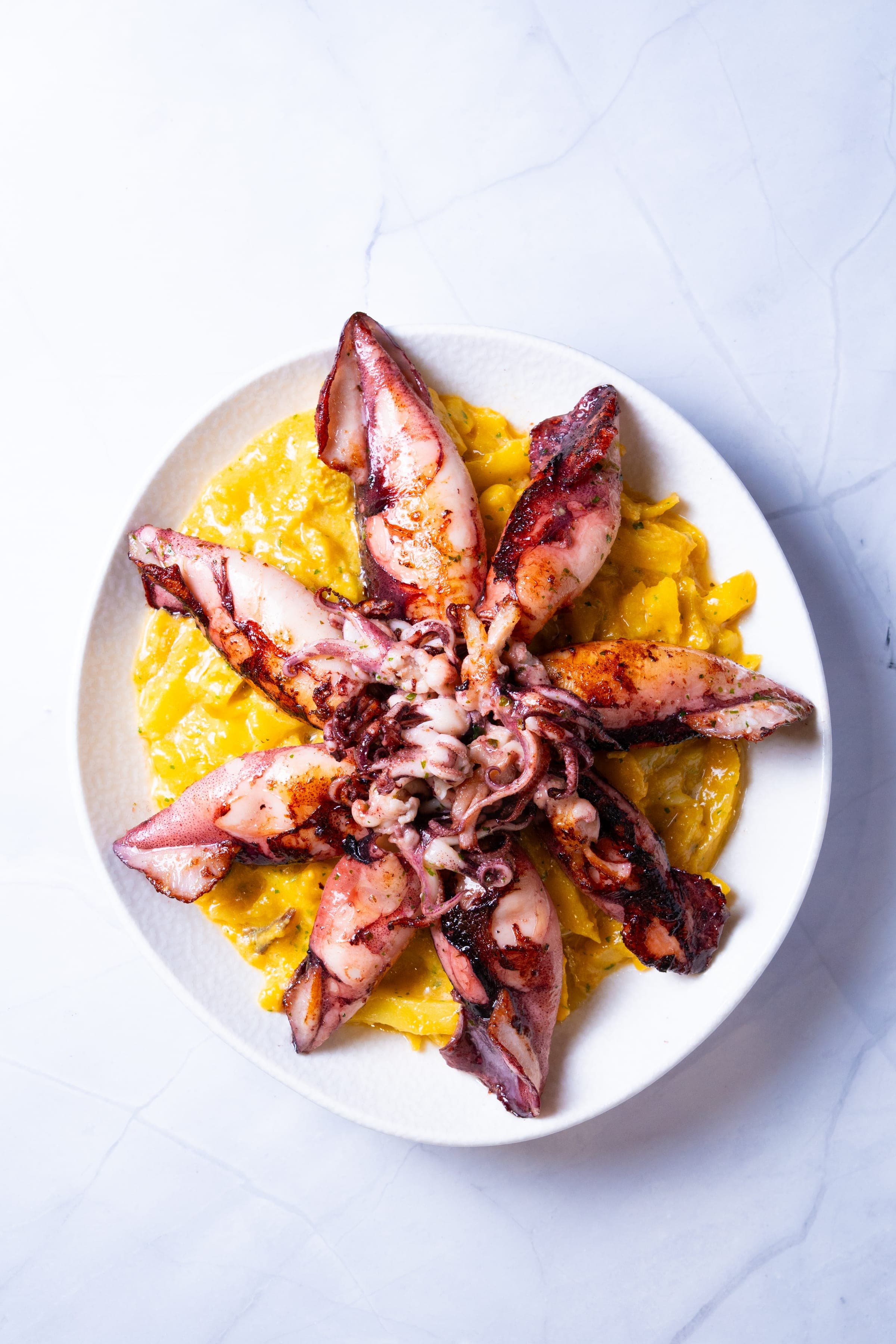 Comida gallega del mar a domicilio en Vigo — Delfín Delivery