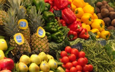 Descubre los Sabores de Galicia con Delfín Delivery en Vigo