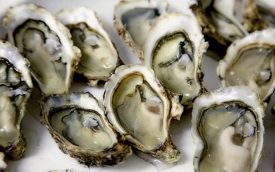 Vieiras a la gallega en Vigo: Marisco de calidad en casa