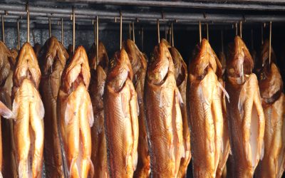 La magia del pescado a la gallega