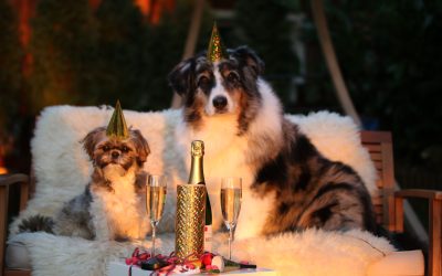 La mejor forma de celebrar Año Nuevo con comida a domicilio